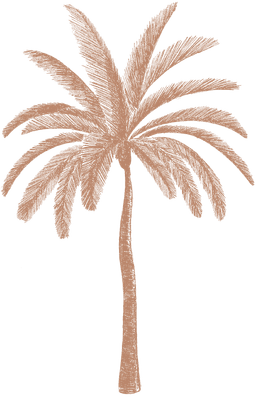 Palm tree decoration